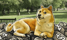 狗狗幣哪里交易,狗狗幣在哪個平臺上買最正規(guī)