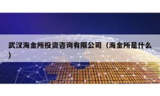 武漢海金所投資咨詢有限公司（海金所是什么）