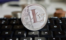 2014萊特幣價格,萊特幣2024能漲到多少呢