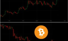 bit cash價格,bitbulls交易平臺