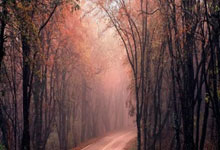 交易中的人生感悟