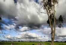 2025年減半后展望 如何避開空頭陷阱抓住AI幣的alpha？