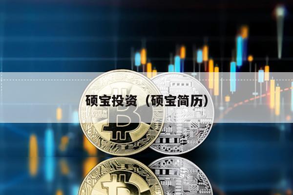 碩寶投資(碩寶簡歷)