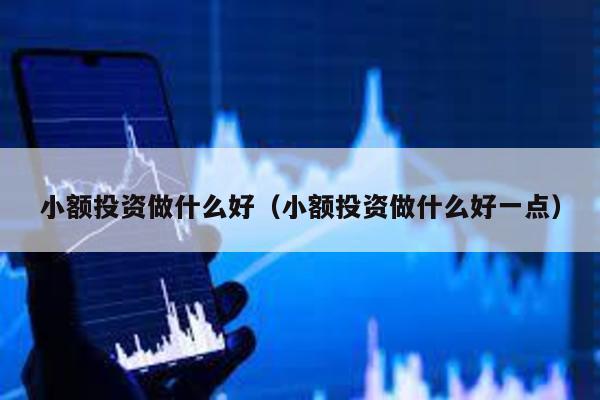 小額投資做什么好(小額投資做什么好一點)