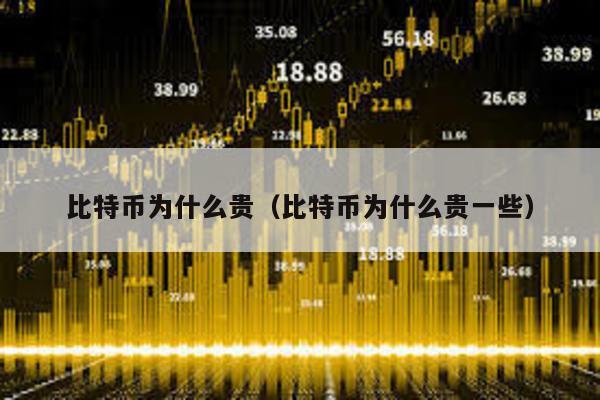 比特幣為什么貴(比特幣為什么貴一些)