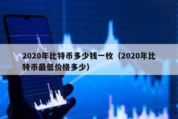 2020年比特幣多少錢一枚(2020年比特幣最低價(jià)格多少)