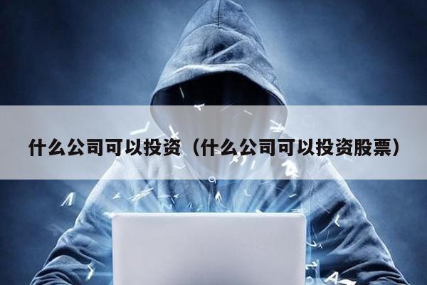 什么公司可以投資(什么公司可以投資股票)