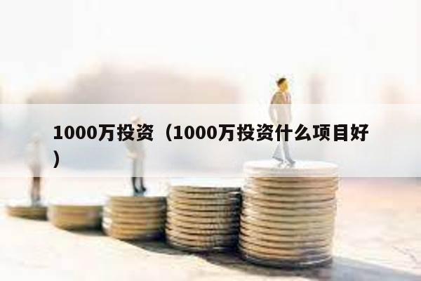 1000萬投資(1000萬投資什么項目好)
