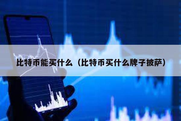 比特幣能買什么(比特幣買什么牌子披薩)