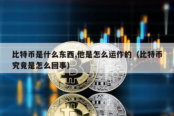 比特幣是什么東西,他是怎么運作的(比特幣究竟是怎么回事)