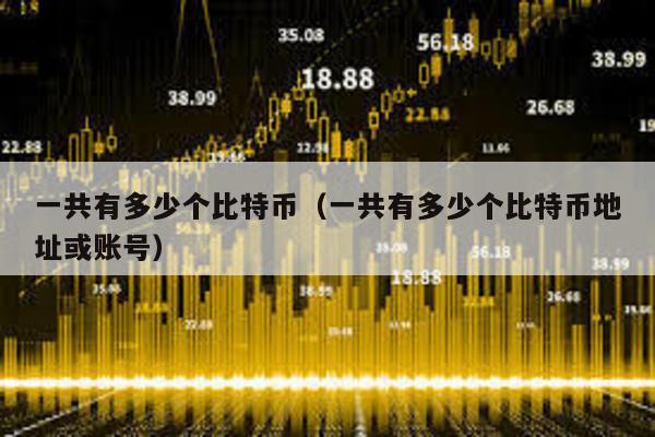 一共有多少個比特幣(一共有多少個比特幣地址或賬號)