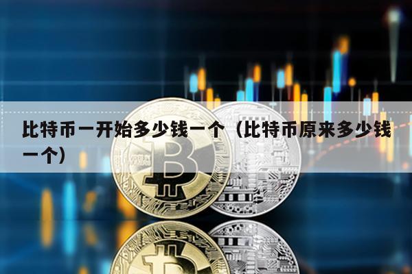 比特幣一開始多少錢一個(比特幣原來多少錢一個)