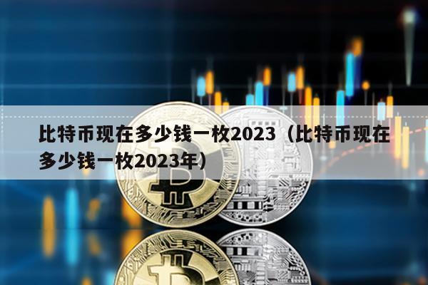 比特幣現在多少錢一枚2023(比特幣現在多少錢一枚2023年)