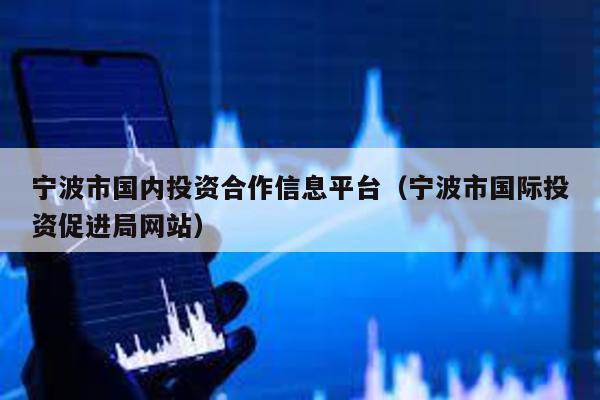 寧波市國內(nèi)投資合作信息平臺(寧波市國際投資促進局網(wǎng)站)