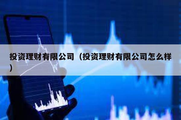 投資理財有限公司(投資理財有限公司怎么樣)
