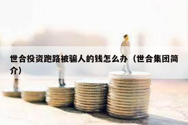 世合投資跑路被騙人的錢怎么辦(世合集團簡介)