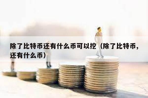 除了比特幣還有什么幣可以挖(除了比特幣,還有什么幣)