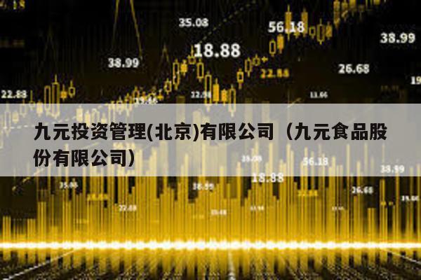 九元投資管理(北京)有限公司(九元食品股份有限公司)