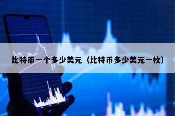 比特幣一個多少美元(比特幣多少美元一枚)