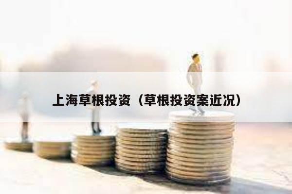 上海草根投資(草根投資案近況)