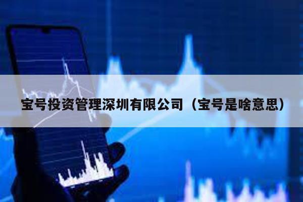 寶號投資管理深圳有限公司(寶號是啥意思)