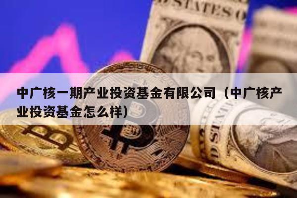 中廣核一期產業投資基金有限公司(中廣核產業投資基金怎么樣)