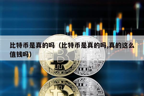 比特幣是真的嗎(比特幣是真的嗎,真的這么值錢嗎)