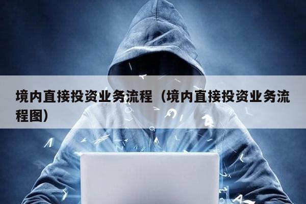 境內直接投資業務流程(境內直接投資業務流程圖)