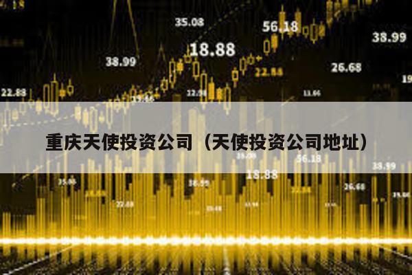 重慶天使投資公司(天使投資公司地址)