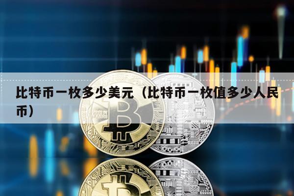 比特幣一枚多少美元(比特幣一枚值多少人民幣)