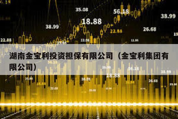 湖南金寶利投資擔保有限公司(金寶利集團有限公司)