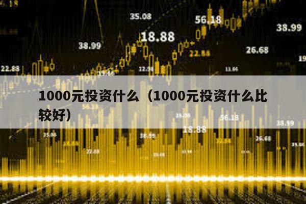 1000元投資什么(1000元投資什么比較好)