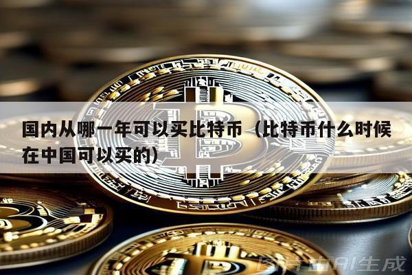 國內從哪一年可以買比特幣(比特幣什么時候在中國可以買的)