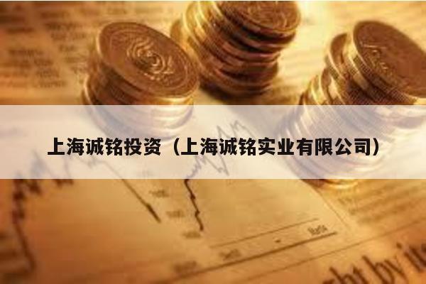 上海誠銘投資(上海誠銘實業(yè)有限公司)