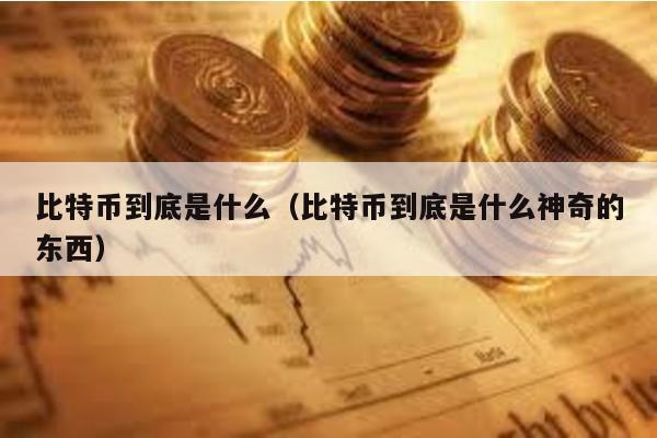 比特幣到底是什么(比特幣到底是什么神奇的東西)