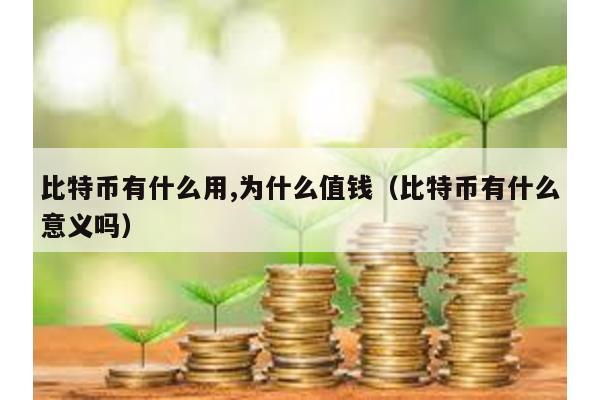 比特幣有什么用,為什么值錢(比特幣有什么意義嗎)
