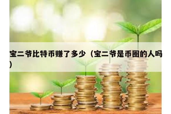 寶二爺比特幣賺了多少(寶二爺是幣圈的人嗎)