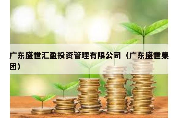 廣東盛世匯盈投資管理有限公司(廣東盛世集團)