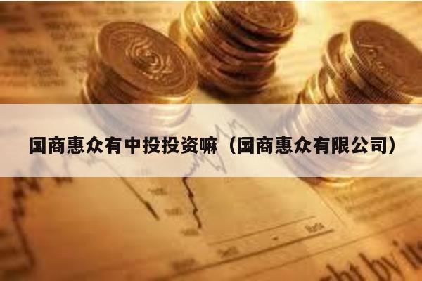 國商惠眾有中投投資嘛(國商惠眾有限公司)