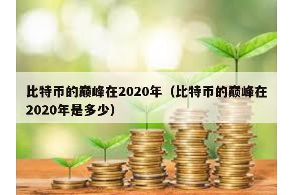 比特幣的巔峰在2020年(比特幣的巔峰在2020年是多少)