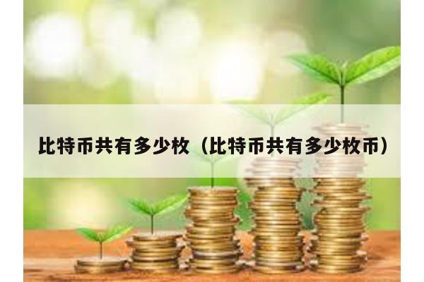 比特幣共有多少枚(比特幣共有多少枚幣)