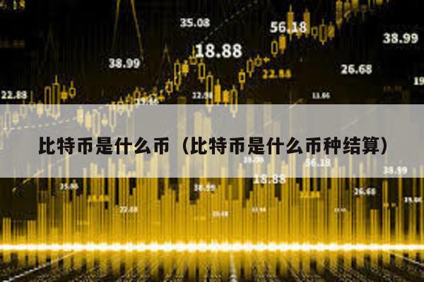 比特幣是什么幣(比特幣是什么幣種結算)