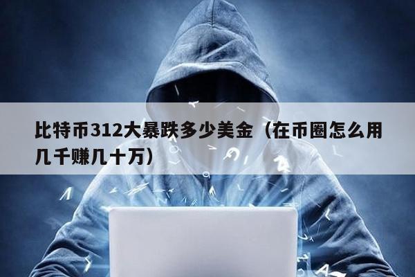 比特幣312大暴跌多少美金(在幣圈怎么用幾千賺幾十萬)