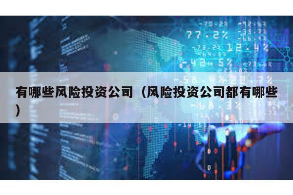 有哪些風險投資公司(風險投資公司都有哪些)