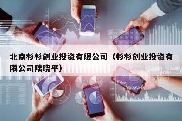 北京杉杉創(chuàng)業(yè)投資有限公司(杉杉創(chuàng)業(yè)投資有限公司陸曉平)