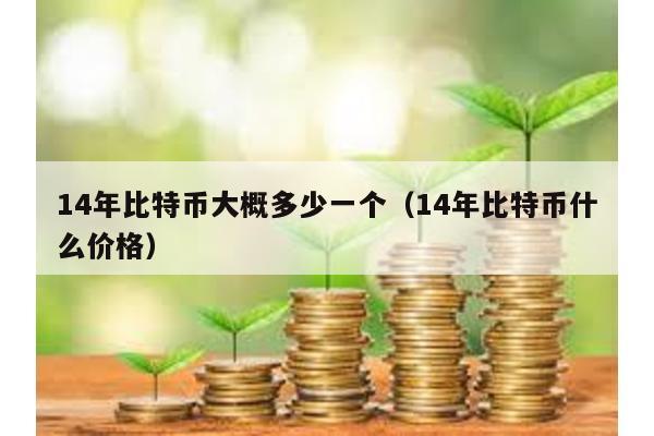 14年比特幣大概多少一個(14年比特幣什么價格)