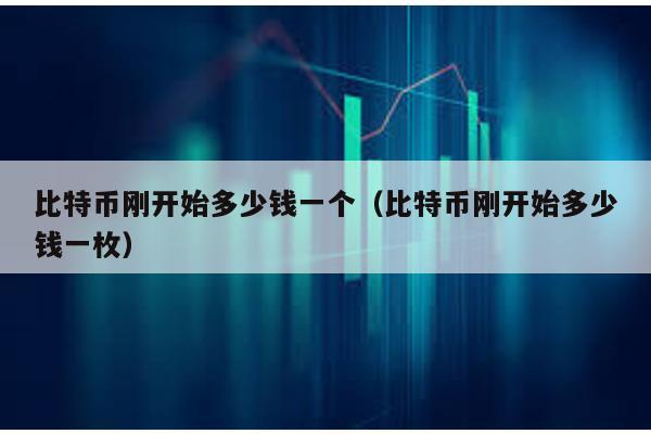 比特幣剛開始多少錢一個(比特幣剛開始多少錢一枚)