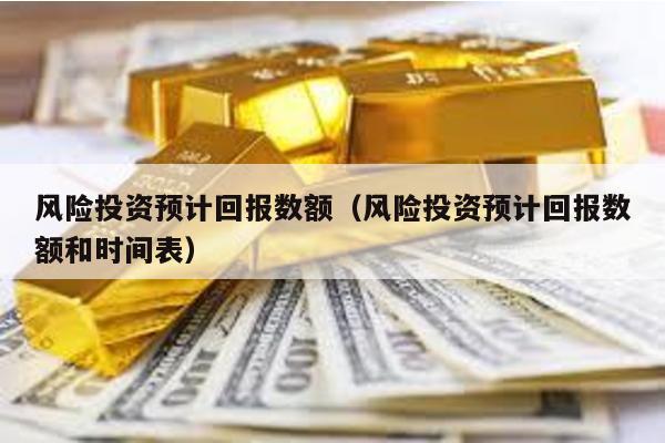 風險投資預計回報數額(風險投資預計回報數額和時間表)