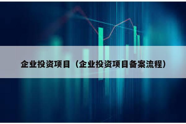 企業投資項目(企業投資項目備案流程)