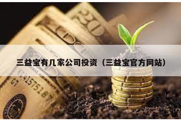 三益寶有幾家公司投資(三益寶官方網站)